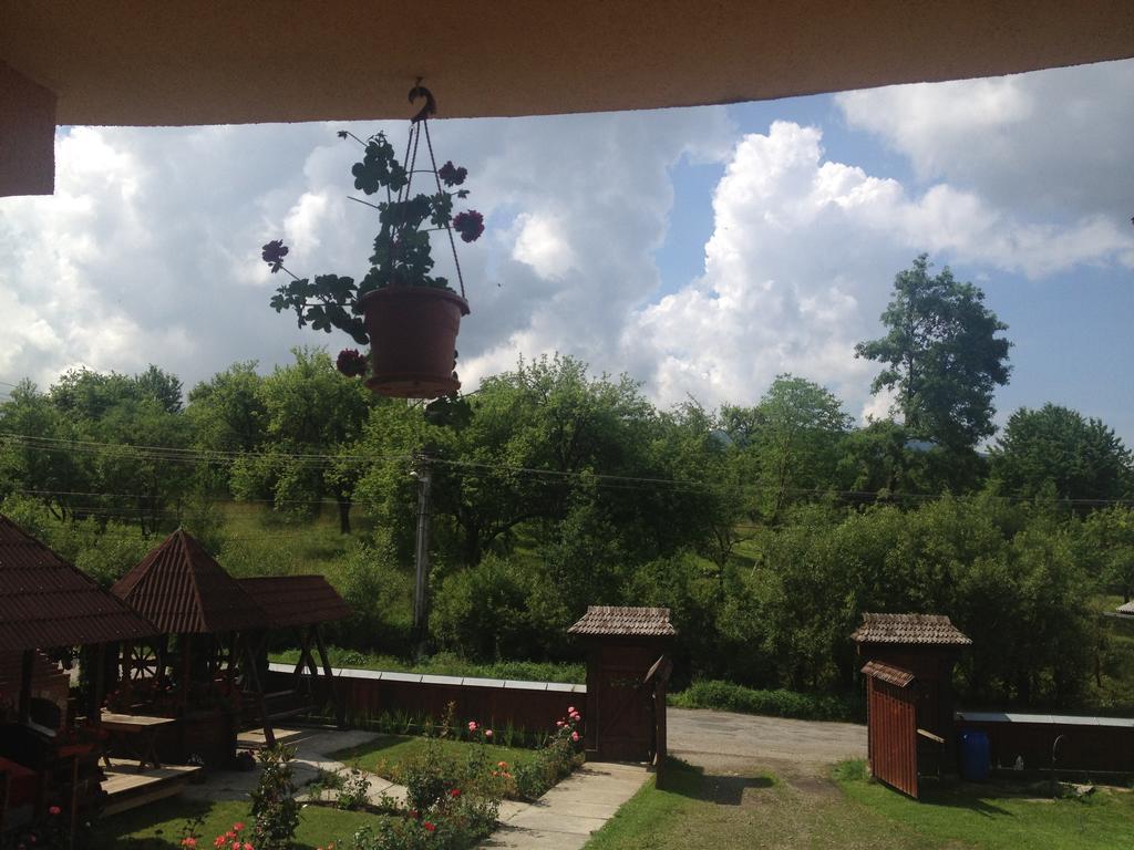 Pensiunea Maramures Ocna Sugatag Exterior photo