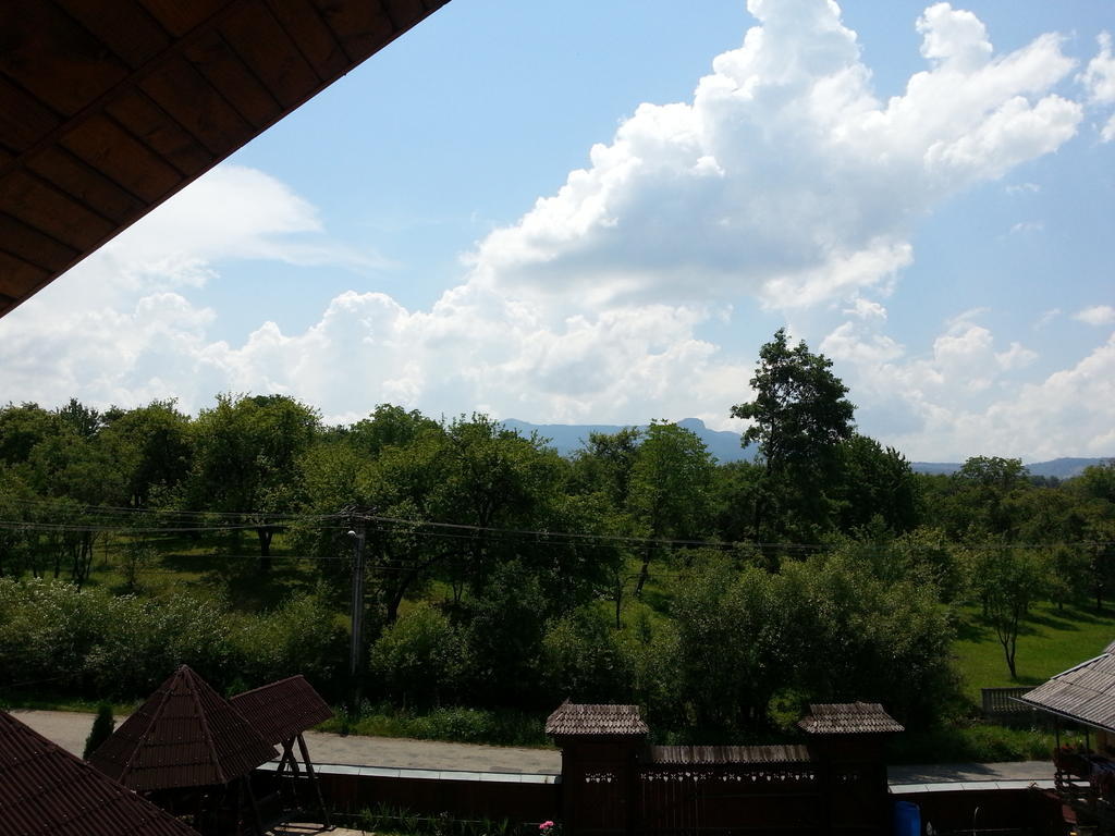 Pensiunea Maramures Ocna Sugatag Exterior photo