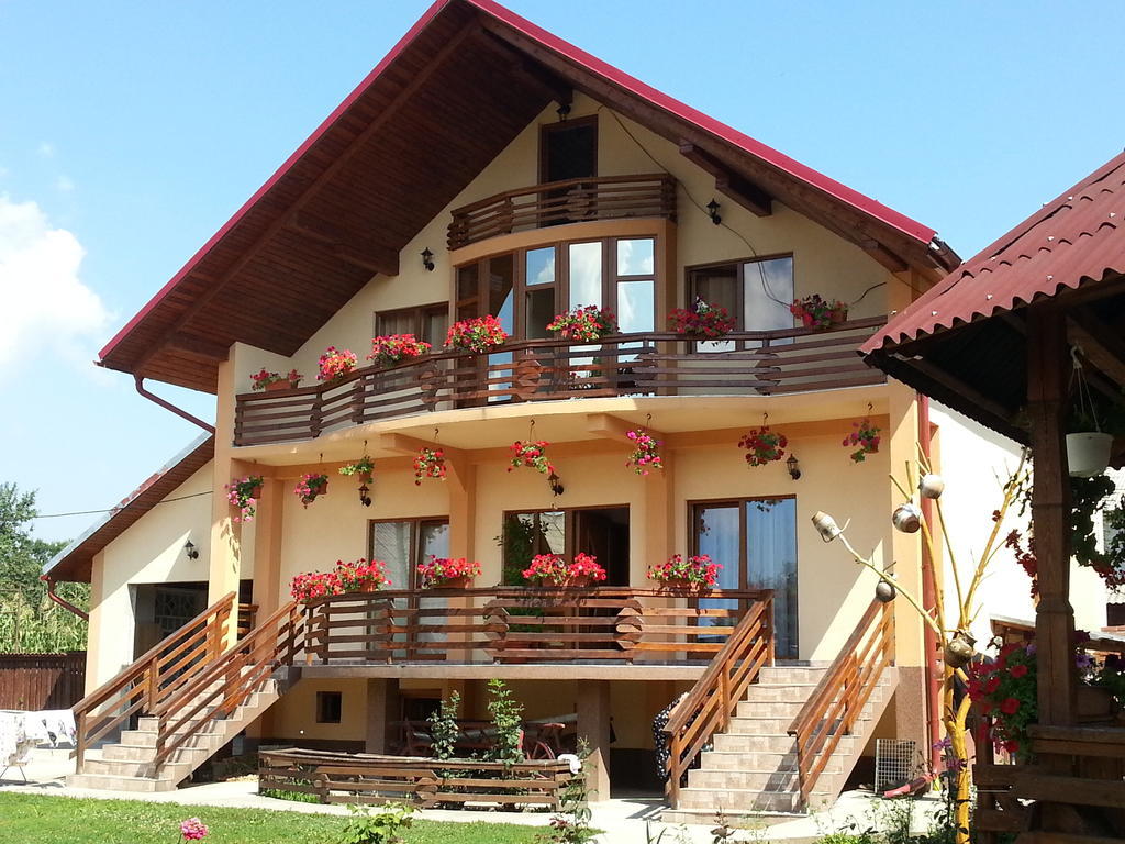 Pensiunea Maramures Ocna Sugatag Exterior photo