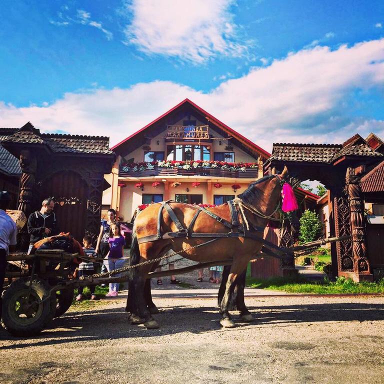 Pensiunea Maramures Ocna Sugatag Exterior photo
